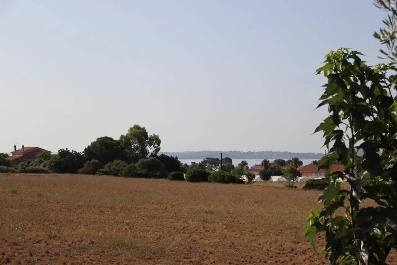 Le Petit Sud Apartment Carqueiranne France