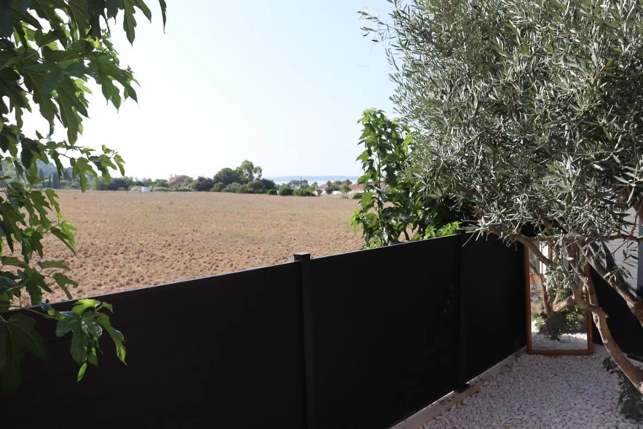 Le Petit Sud Apartment Carqueiranne France